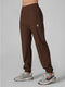 Apex Stretch Technical Joggers in Stone Brown